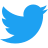 twitter_icon