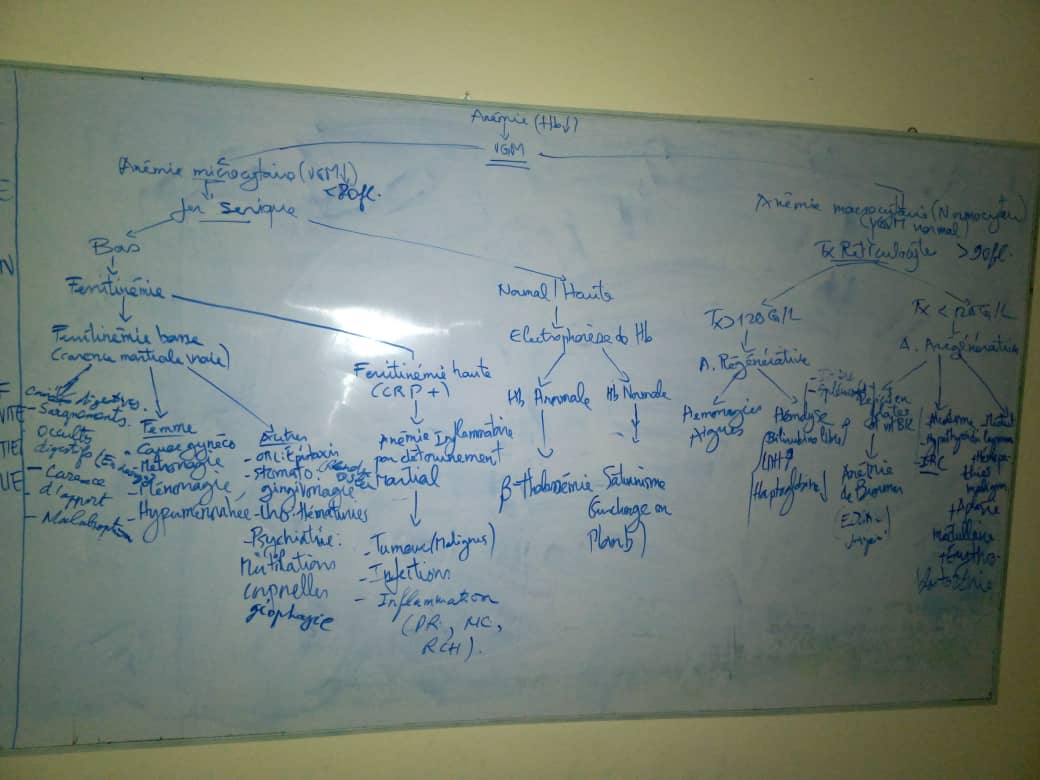 orientation diagnostique anemie